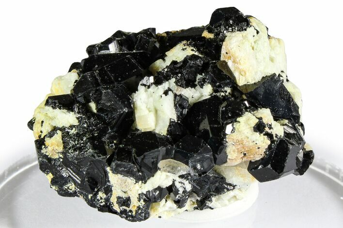 Lustrous Black Tourmaline (Schorl) Crystals w/ Feldspar - Namibia #361687